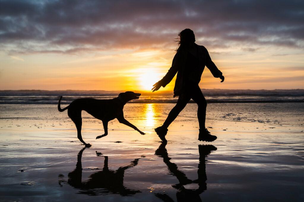 Professional dog trainer working one-on-one with dog outdoors