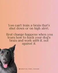 dog training is a process