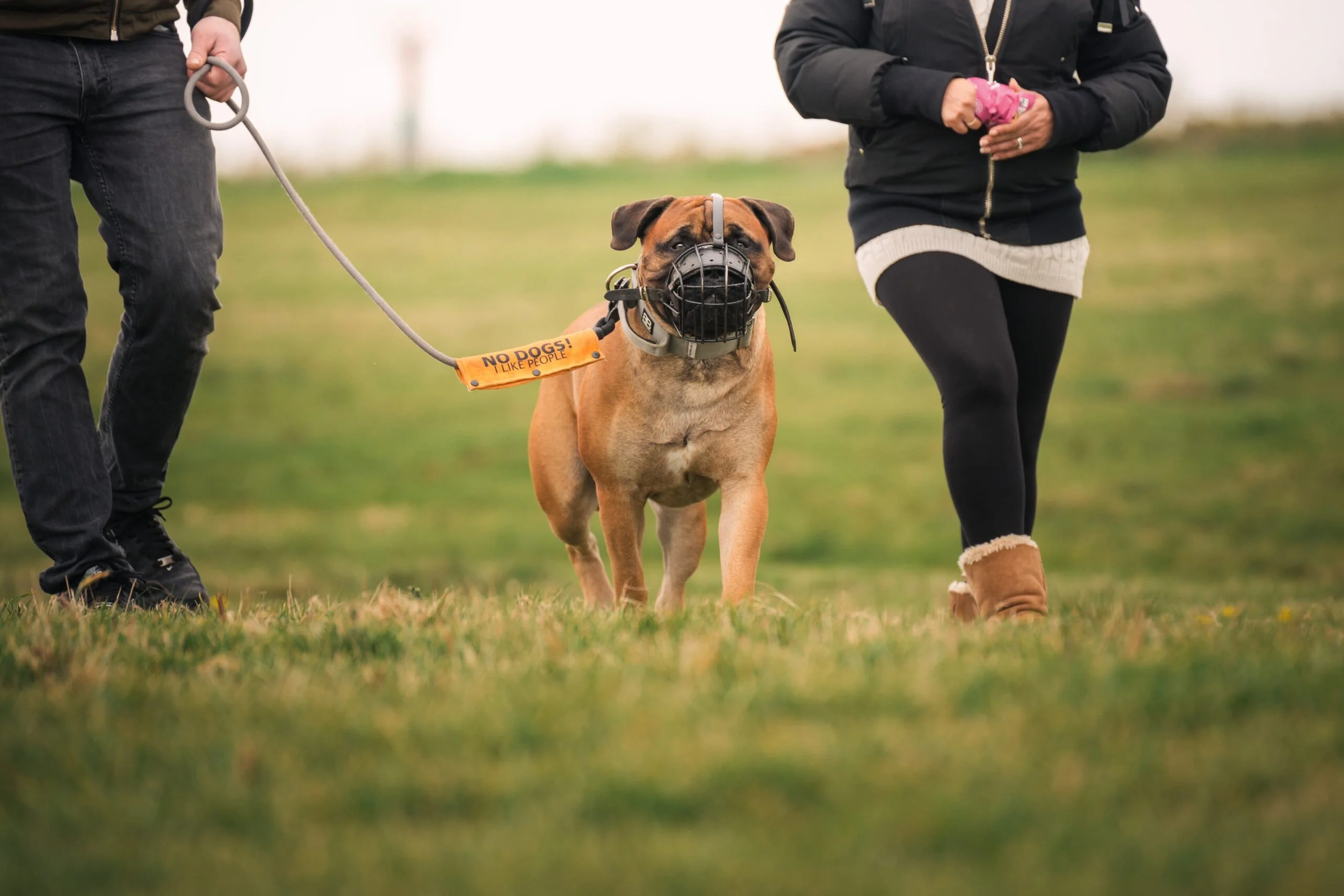 Pups Be Haven Reactive Dog Training Logo