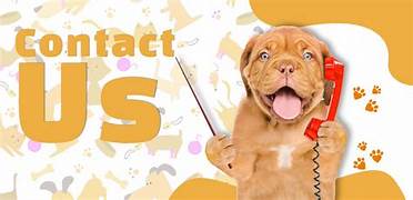 Dog owner happily contacting Pups Be Haven for training