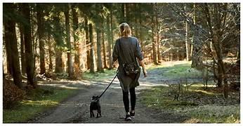 Certified positive reinforcement dog trainer in Nanaimo guiding a calm dog outdoors