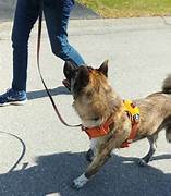 Planning training program