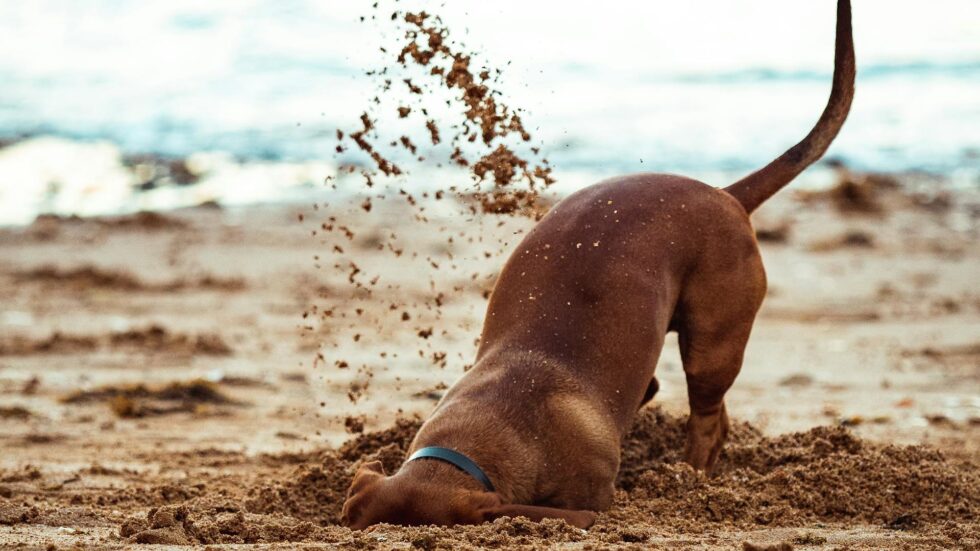 Training session begins